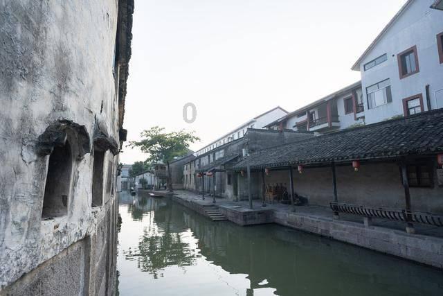 细胞分裂6